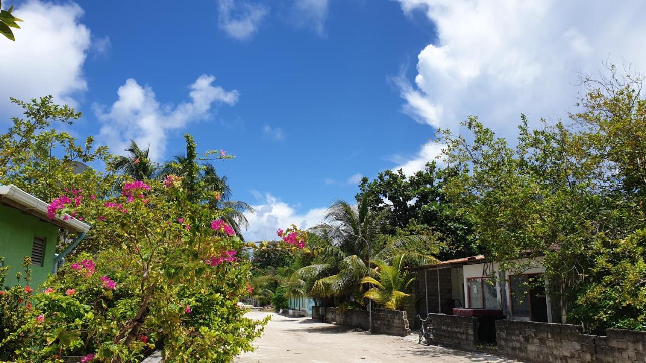 Asaa View Maldives Hotel Feridhoo Exterior foto